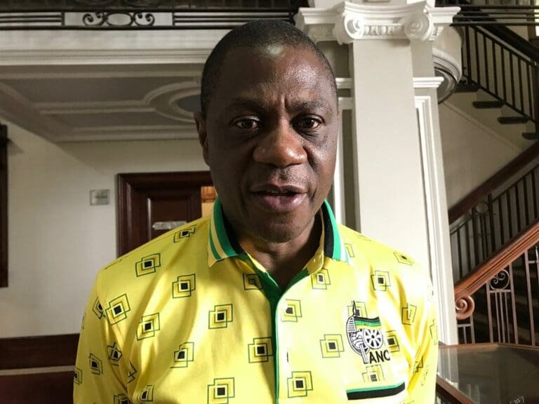 How the Battle of Lurhwayizo Commemoration Risks Being Overshadowed by Paul Mashatile’s Corruption Scandals