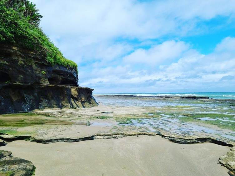 Tours are conducted during low tide so that you can make your way along the coast around to the caves.