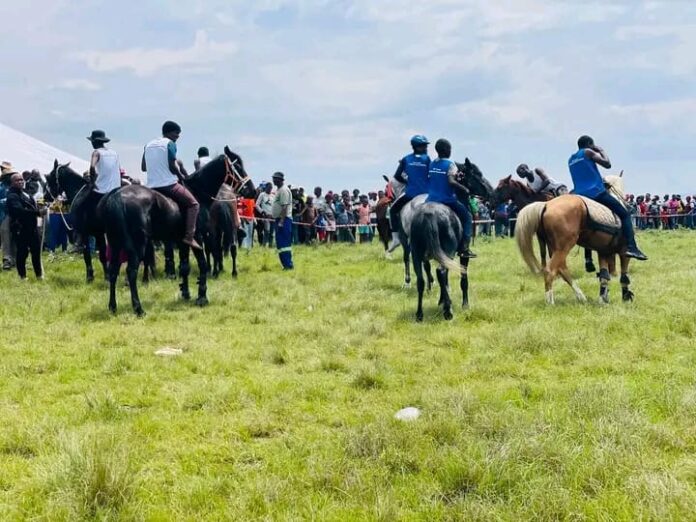 Alfred Nzo Horse Racing in Bizana