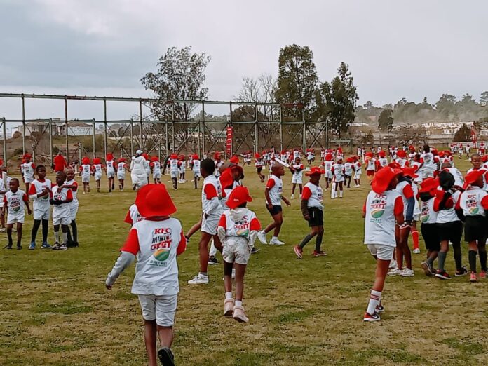 Cricket festive season