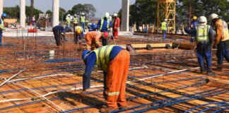 Eastern Cape Jobs Rise Despite US Tariff Worries