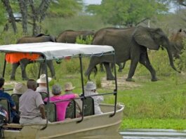 Felix Onen: Pioneering Change Through Entrepreneurship and Philanthropy