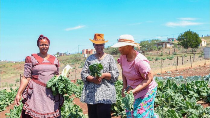 Umzimvubu Local Municipality Nurtures Small-Scale Farmers for Rural Prosperity