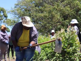 Kamvelo Trading Skills Development Program Benefited 20 Unempoyed Youth With Landscaping Skills