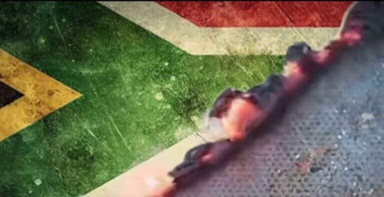 Burning of Flag Equated to Corruption: UDM Condemns Hypocrisy in Political Critique