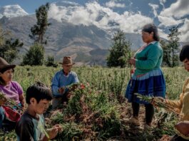 Food and Nutrition Battle Set for Peru in September Food and Nutrition Battle Set for Peru in September