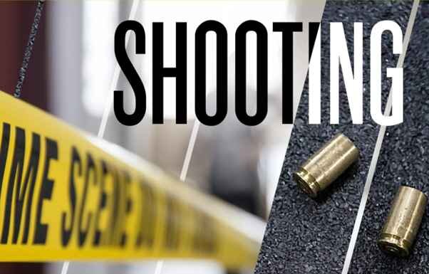 SAPS detective killed, colleague critical in Mthatha shooting