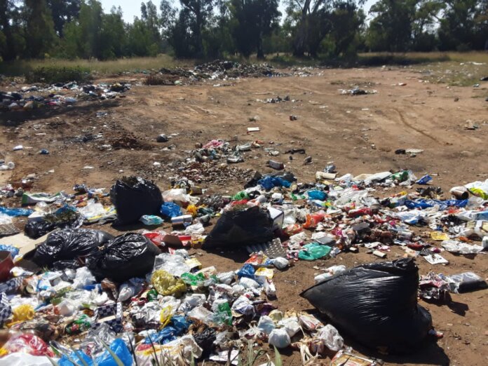 Innocent life discarded at trash-site