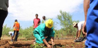 Call for Agricultural Inputs Funding Applications Call for Agricultural Inputs Funding Applications