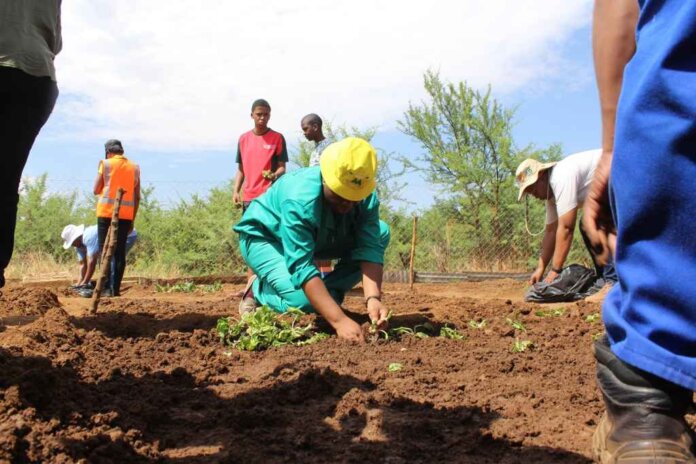 Call for Agricultural Inputs Funding Applications