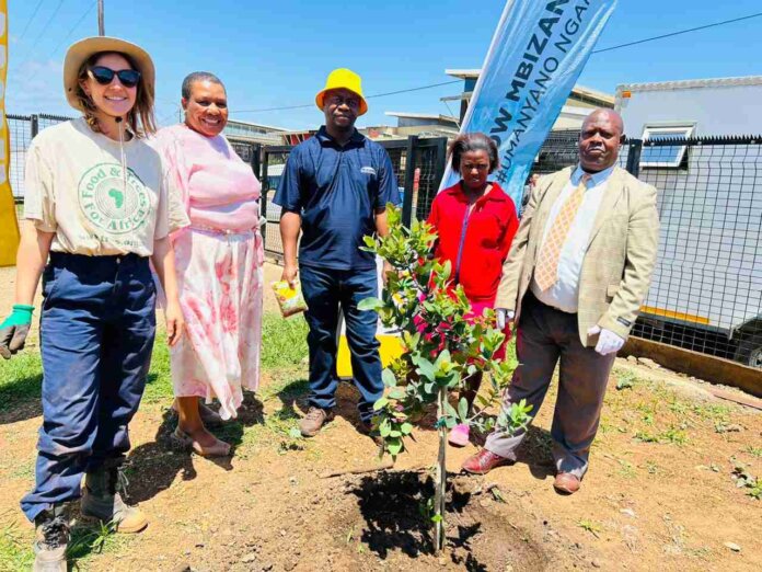 Greening the District: Santam, Food and Trees for Africa, and Alfred Nzo District Municipality Unite