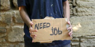 Eastern Cape Province Sees Significant Boost in Employment Rate