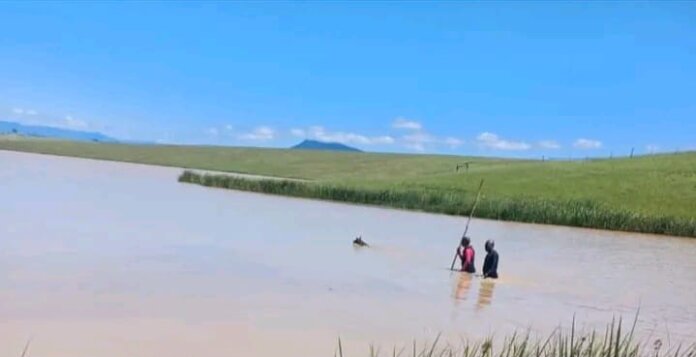 Two lifeless bodies rescued in Mthatha dam