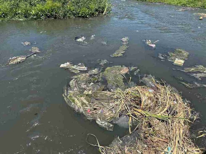 Eldorado Park residents appeal for government intervention against dangerously polluted river