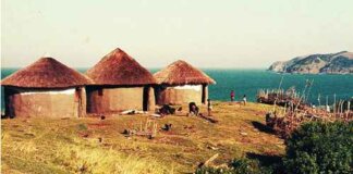 Against All Odds: Stories of Resilience