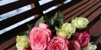 At childhood, it is something we could not comprehend When you cross my mind, I am deeply overwhelmed With all the right feelings, I feel my heart with you is held