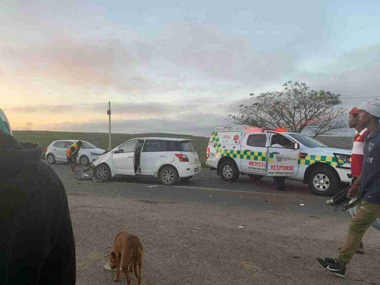 Vehicle Collides with Cow in Mathwebu, Bizana – No Injuries Reported