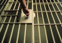 Three Men Jailed 20 Years for Cell Tower Theft Syndicate The Gqeberha New Law Court has sentenced three men to 20 years behind bars for targeting national cellphone tower infrastructure.