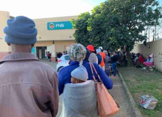 SASSA pushes online life certification to help beneficiaries avoid queues Hundreds wait in line for social grants — here’s what to expect if you’re next.
