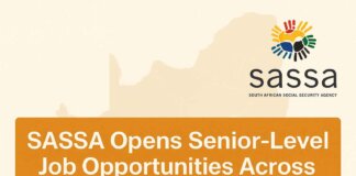 SASSA Opens Senior-Level Job Opportunities Across South Africa