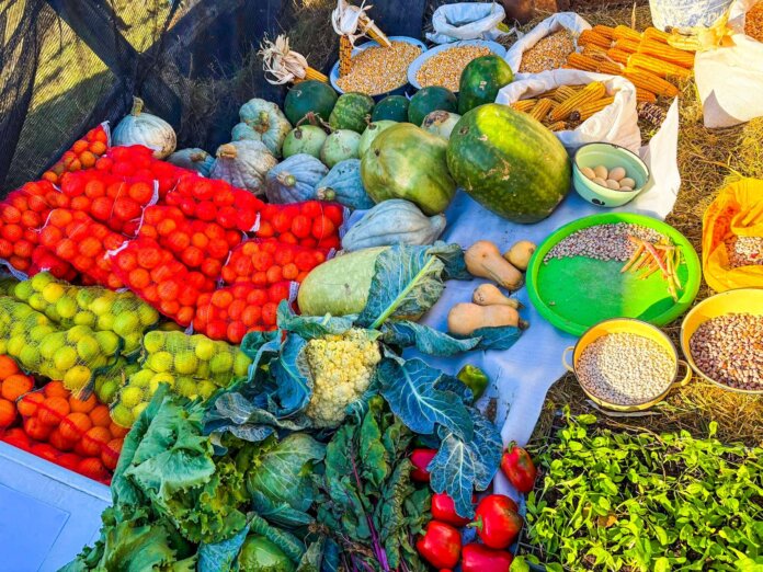 ECRDA Showcases Rural Agricultural Growth at Vibrant Eastern Cape Agricultural Show