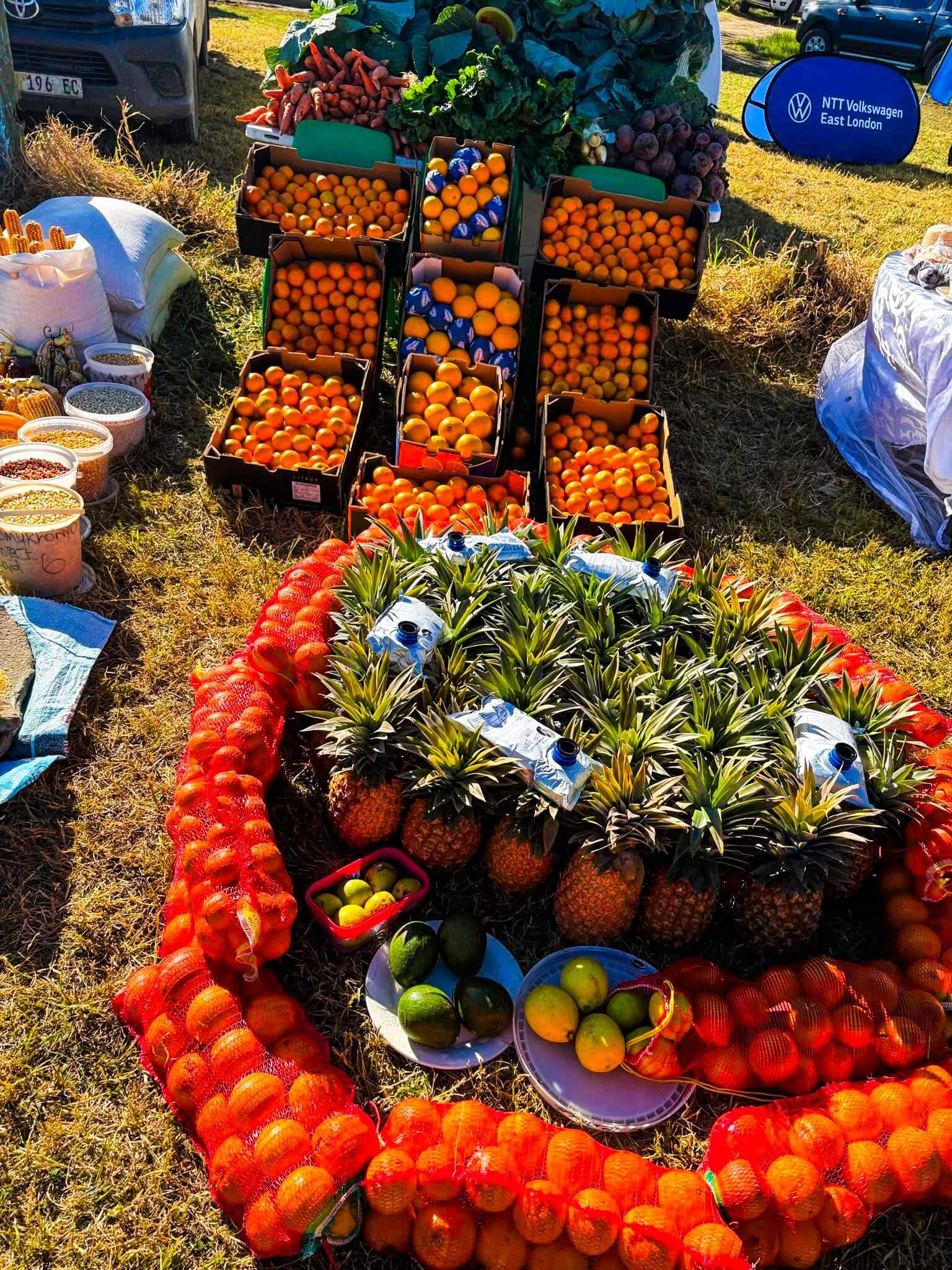 ECRDA Showcases Rural Agricultural Growth 3 | Pondoland Times Ecrda showcases rural agricultural growth at vibrant eastern cape agricultural show
