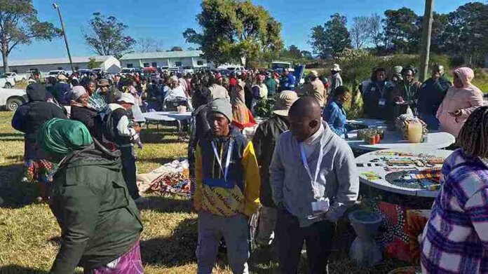 Eastern Cape Revives Agricultural Shows to Help Small Farmers Go Commercial