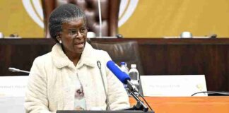 MPs Slam SASSA Grant Delays Over Harsh Verification Rules