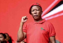 Malema to DA: Step Aside So EFF Can Govern EFF Leaders Join Probe Into Police Allegations