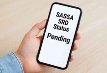 SASSA SRD R370 status check for May 2026 — how to check and fix delays srd status check