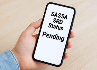 SASSA SRD R370 status check for May 2026 — how to check and fix delays srd status check