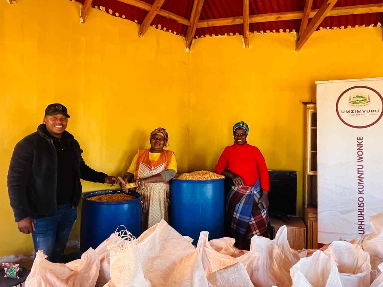 Umzimvubu Invests R7 Million to Boost Yellow Maize Farming Across 28 Wards