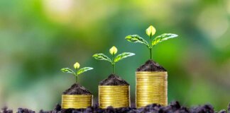 Looking for Business Funding for Your Small Business? Here’s Where to Start in South Africa