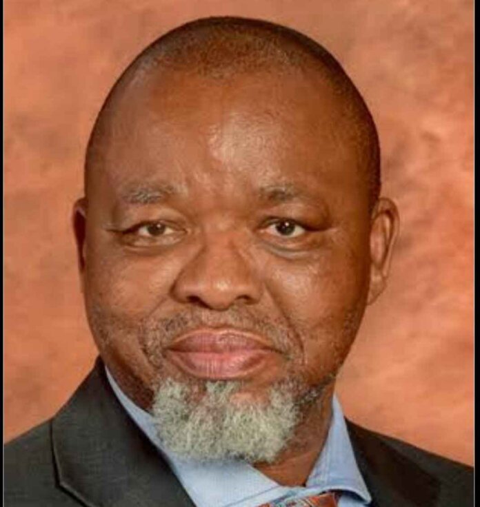 Ramaphosa Appoints Gwede Mantashe as Acting Police Minister