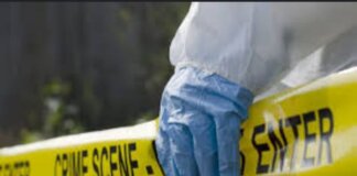 15-Year-Old Learner Arrested for Fatal Stabbing of Schoolmate in KwaMhlanga 15 year old learner arrested fatal stabbing schoolmate kwamhlanga