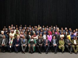 actionsa bill seeks scrap deputy ministers cut cabinet costs