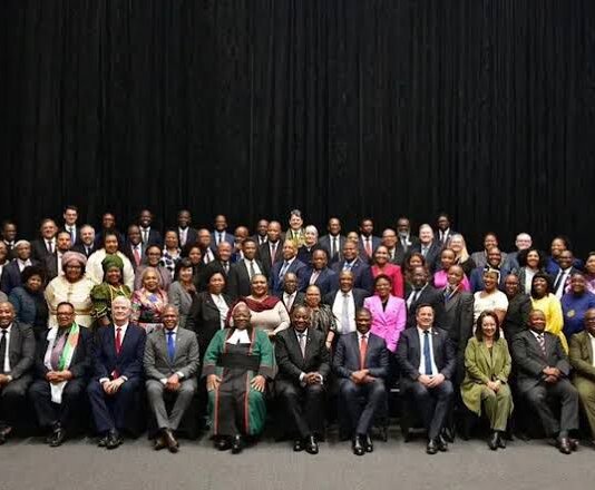 actionsa bill seeks scrap deputy ministers cut cabinet costs