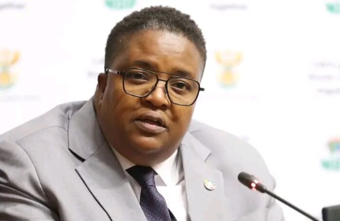 deputy minister letsike slams racist podcast content