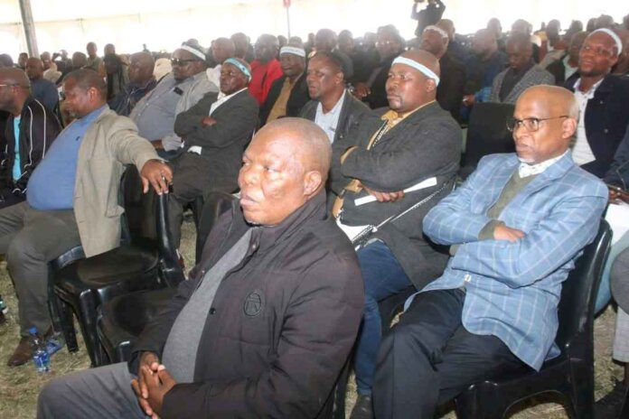 eastern cape calls unity protect safe dignified initiation practices