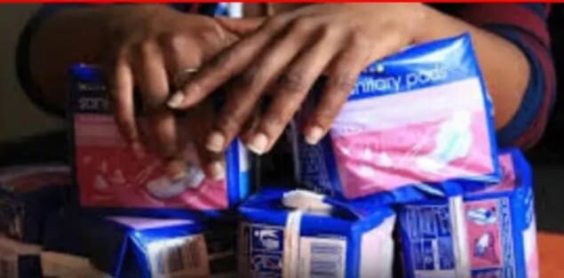 Eff Launches Sanitary Towel Month Womens Rights March EFF launches sanitary towel month womens rights march