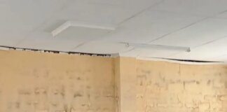 eff ngqushwa marks womens day community outreach emaxhegweni