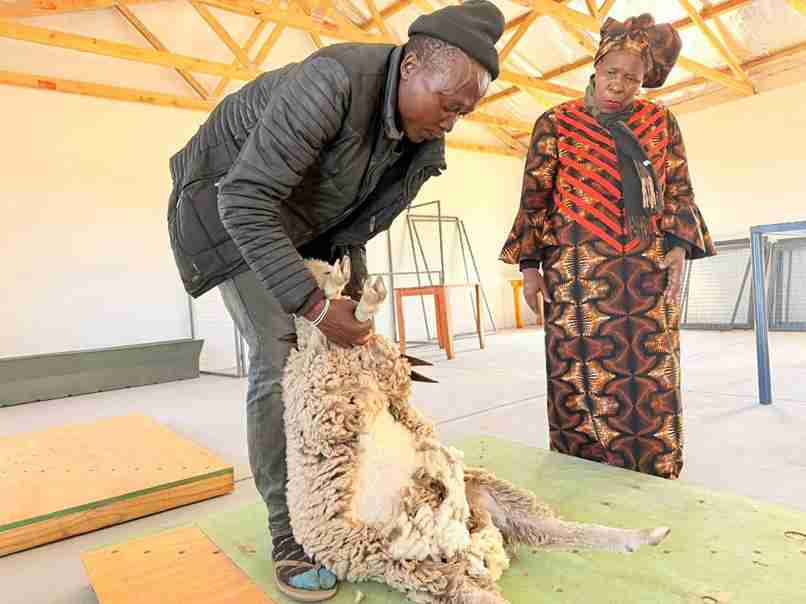 MEC Nonceba Kontsiwe and Instika Yethu Municipality Mayor Khanyisa Mdleleni cutting the ribbon to mark the official handover of Chamama Forest shearing shed.