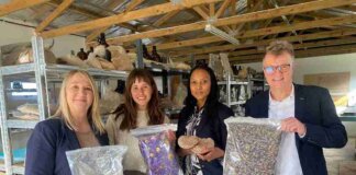 ingredients launch photo