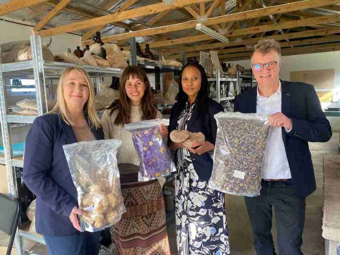 Ingredients Launch Photo ingredients launch photo