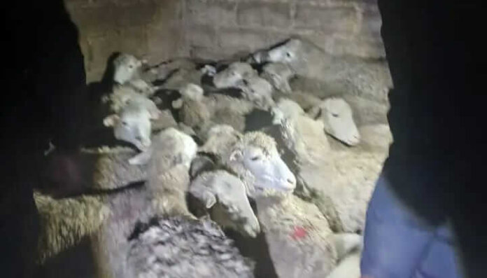 saps nabs suspects recovers stolen goods or tambo