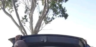 Six Arrested in Peddie During OperationBasadi Crime Crackdown six arrested peddie during operationbasadi crime crackdown