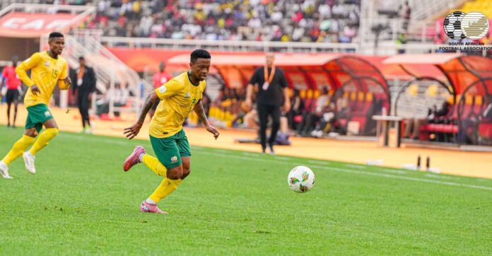 south africa earns hard fought draw algeria chan opener