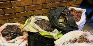 two arrested copper theft bribery Mthatha