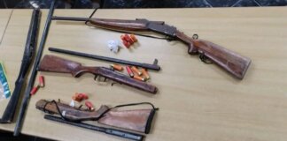 953 Arrests, 23 Firearms Seized in Massive Eastern Cape Police Operation 953 Arrests 23 Firearms Seized Massive Eastern Cape Police Operation