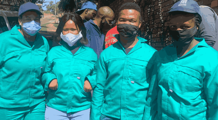 alfred nzo district launches youth training drive tackle unemployment